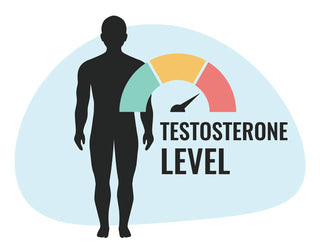 Testosterone