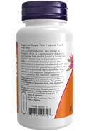 DMG 125mg 100 Vcaps by Now Foods