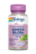 ginkgo-biloba-extract-one-daily