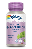 ginkgo-biloba-extract-one-daily