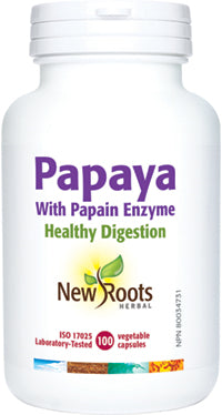 Papaya Puree-CP 12x Papaya by Dynamic Health