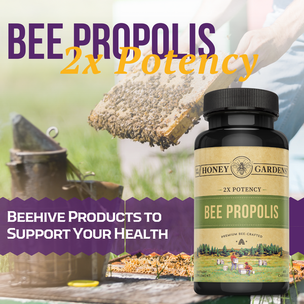 bee-propolis-60 ct