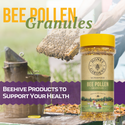 bee-pollen-granules-Granule