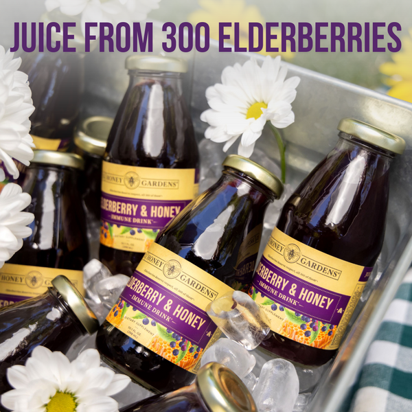 elderberry-honey-immune-drink-Drink