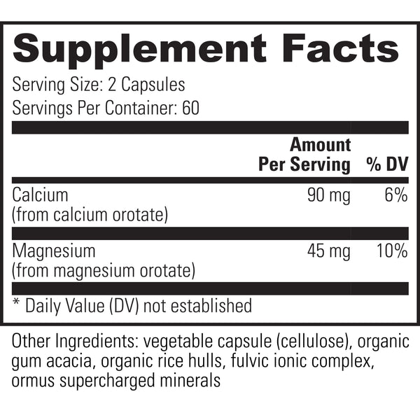 Intracal - 120 Capsules (Global Healing)