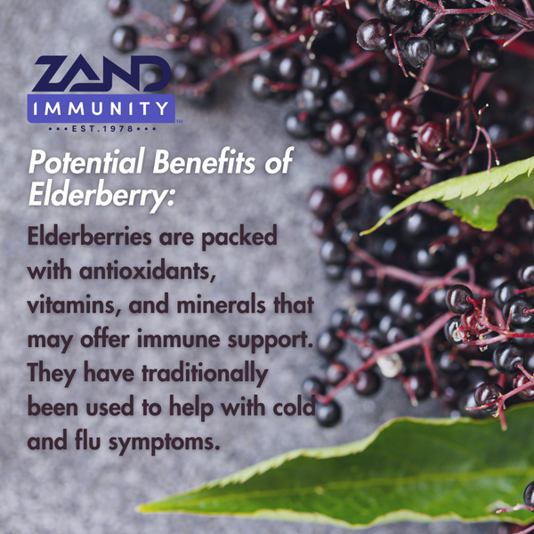 immune-fast-sweet-elderberry-30ct