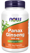 Panax Ginseng 500 mg  250 Vcaps by Now Foods