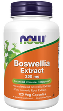 Boswellia Extract 250mg 120 Veg Caps by Now Foods