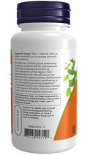 Noni 450mg 90 Vcaps by Now Foods