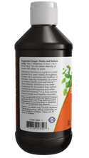 Elderberry Liquid Concentrate 8 fl oz by Now Foods