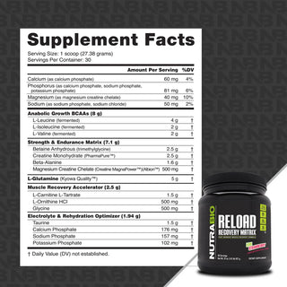 Reload Recovery Matrix - Kiwi Strawberry - 1.81 LB (NutraBio)