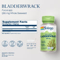 Bladderwrack 100ct 580mg veg cap by Solaray