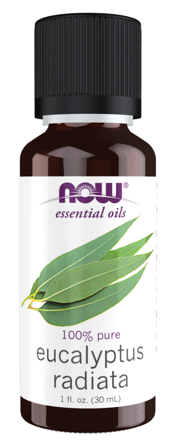 Eucalyptus Radiata Oil 1 fl oz by Now Foods