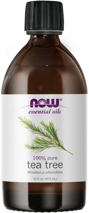 Tea Tree Oil 16 fl oz by Now Foods