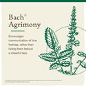 Agrimony - Bach Flower Remedies