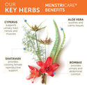 MenstriCare - Himalaya Herbal Healthcare