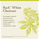 White Chestnut - Bach Flower Remedies