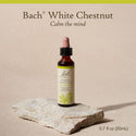 White Chestnut - Bach Flower Remedies