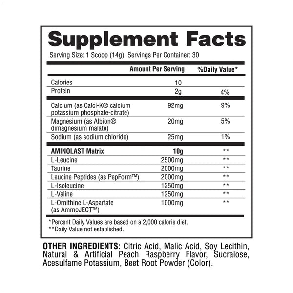 AminoLast - Fruit Punch - 14.8 OZ (Gaspari Nutrition)