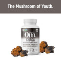 Chaga Mushroom Superfood Capsules - Om Organic Mushroom Nutrition