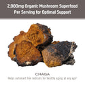 Chaga Mushroom Superfood Capsules - Om Organic Mushroom Nutrition