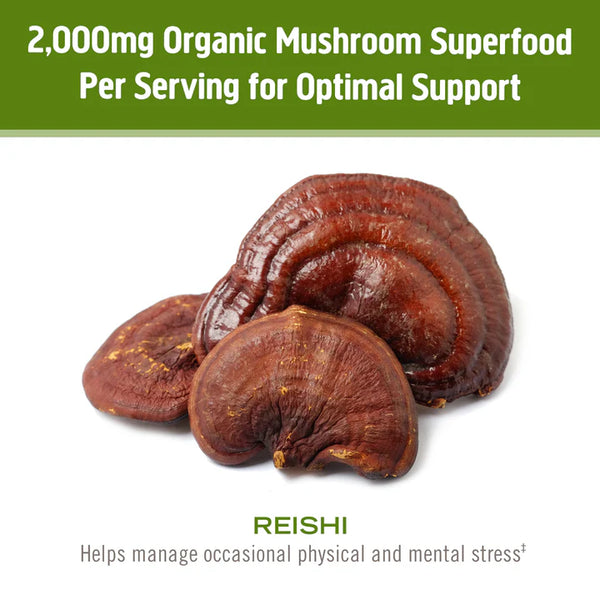 Reishi Mushroom Superfood Capsule - Om Organic Mushroom Nutrition