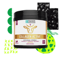 Collagen Active by Zhou Nutrition