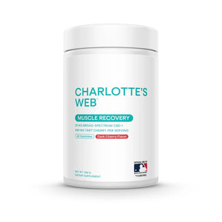 Charlotte’s Web Muscle Recovery Gummies 25mg 60 CT