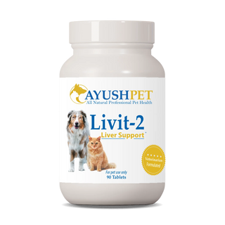 Livit-2 Liver Support - 90 Vegetarian Tablets (Ayush Pet)