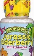 Jurassic Echinacea  30ct 75mg chewable Grape by Kal