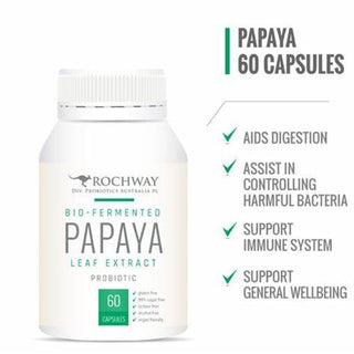 Papaya Puree-CP 12x Papaya by Dynamic Health