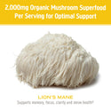 Lion's Mane Mushroom Superfood Powder 100 Grams - 3.5 OZ Om Organic Mushroom Nutrition