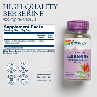 Berberine from Indian Barberry 60ct 500mg capsule