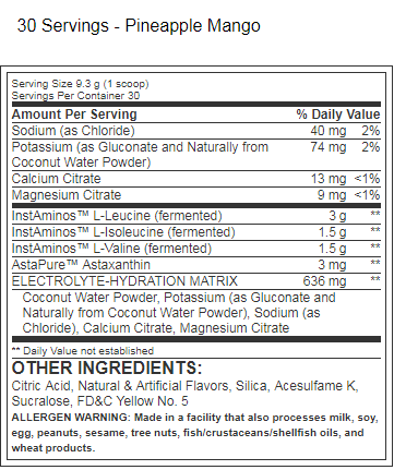 BCAA Re-Igniter 30 srv Cherry Margarita by Top Secret Nutrition