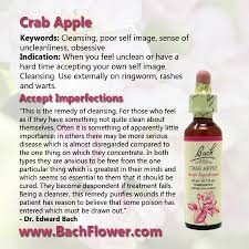 Crab Apple - Bach Flower Remedies