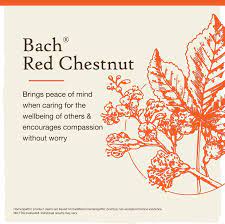 Red Chestnut - Bach Flower Remedies