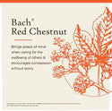 Red Chestnut - Bach Flower Remedies