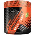 ENDURANCE™ - BCAA Plus 434g Melon by Formutech Nutrition