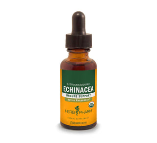 Echinacea - 1 FL OZ (Herb Pharm)