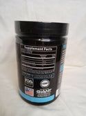 Performance BCAA Optimal Formula - 8.47 OZ Watermelon (Giant Sports International)