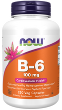 B-6 100mg - 250 Veg Capsules (Now Foods)