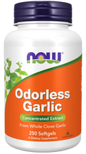odorless garlic orig  250 sgels by Now Foods