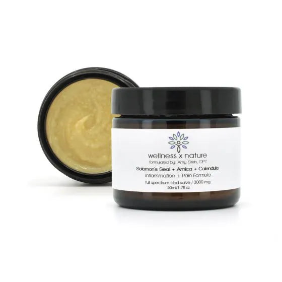 wellness x nature Salve - Inflammation + Pain Formula