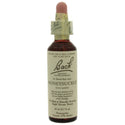 Honeysuckle - Bach Flower Remedies