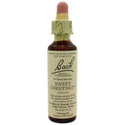 Sweet Chestnut - Bach Flower Remedies